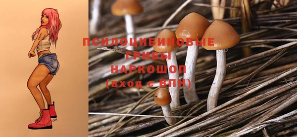 прущая мука Остров