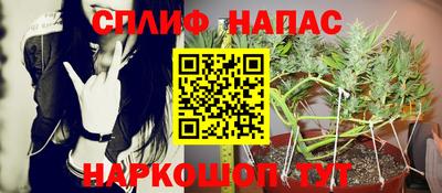 мяу мяу мука Беслан